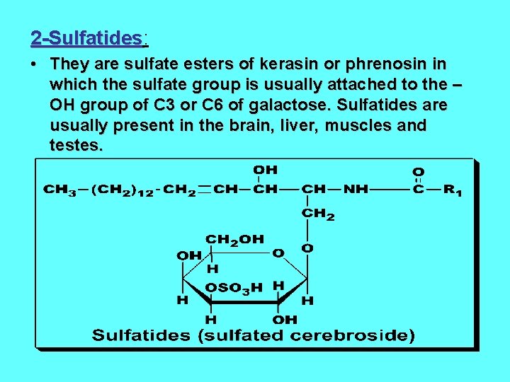 2 -Sulfatides: 2 -Sulfatides • They are sulfate esters of kerasin or phrenosin in