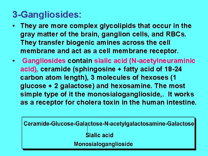 3 -Gangliosides: • They are more complex glycolipids that occur in the gray matter