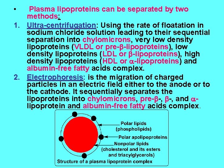  • Plasma lipoproteins can be separated by two methods: methods 1. Ultra-centrifugation: Using