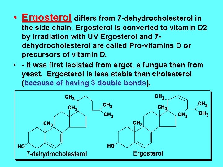  • Ergosterol differs from 7 -dehydrocholesterol in the side chain. Ergosterol is converted