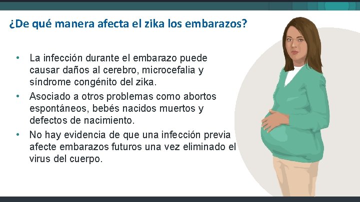 ¿De qué manera afecta el zika los embarazos? • La infección durante el embarazo