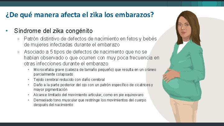 ¿De qué manera afecta el zika los embarazos? • Síndrome del zika congénito »