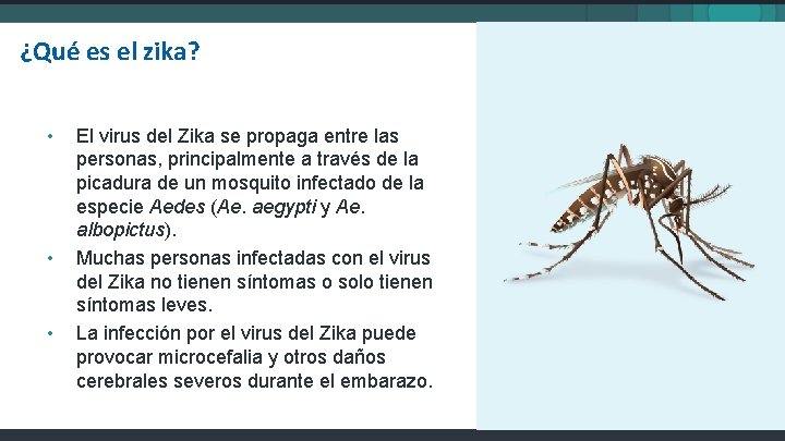 ¿Qué es el zika? • • • El virus del Zika se propaga entre