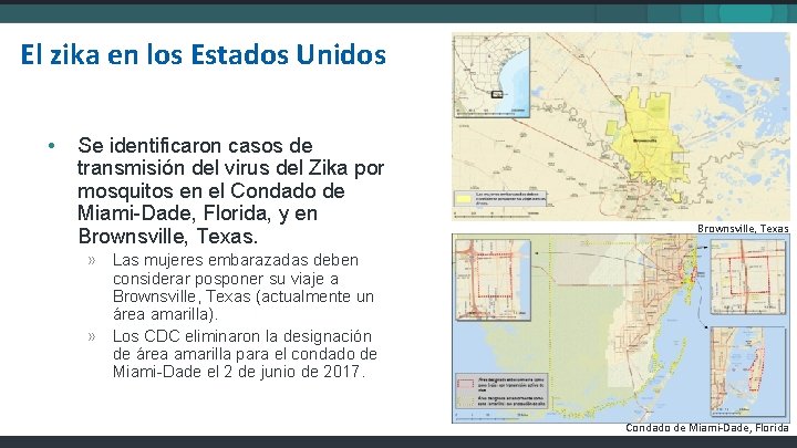 El zika en los Estados Unidos • Se identificaron casos de transmisión del virus