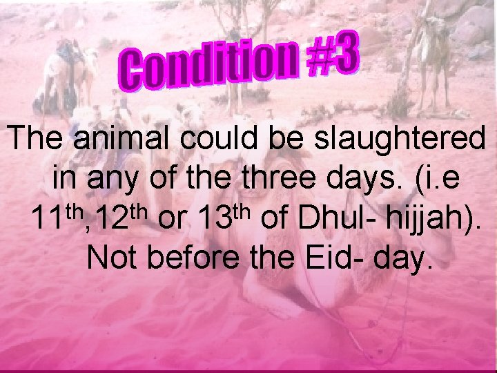 The animal could be slaughtered in any of the three days. (i. e 11