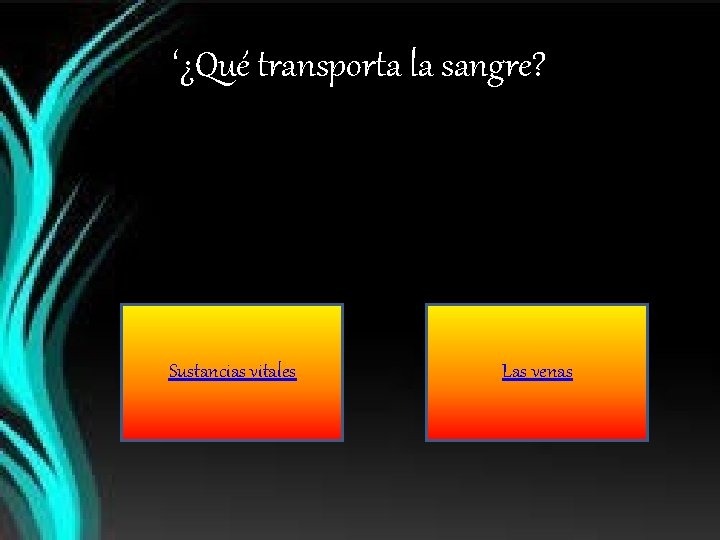 ‘¿Qué transporta la sangre? Sustancias vitales Las venas 