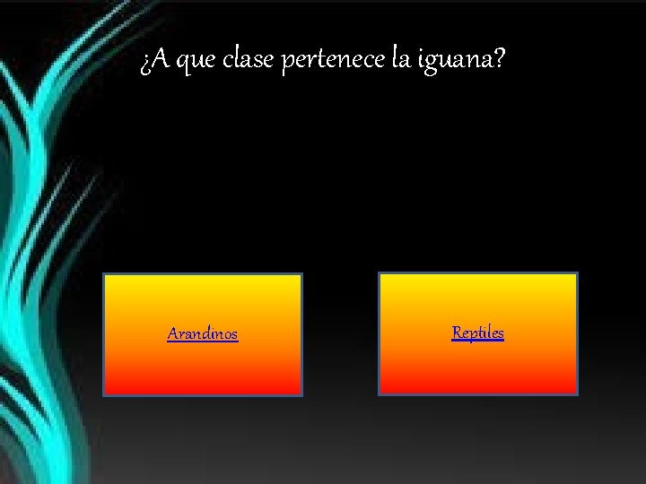 ¿A que clase pertenece la iguana? Arandinos Reptiles 