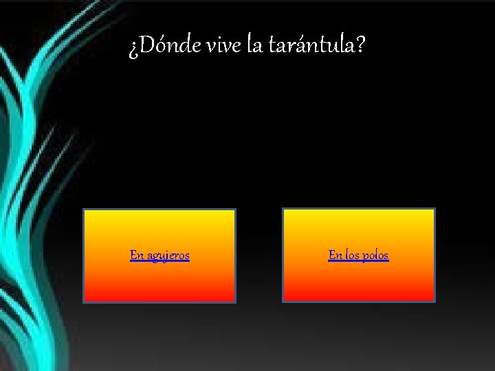 ¿Dónde vive la tarántula? En agujeros En los polos 