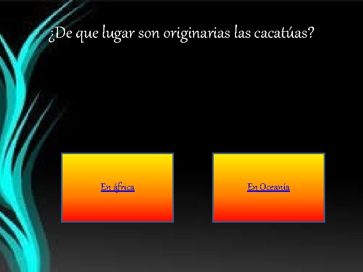 ¿De que lugar son originarias las cacatúas? En áfrica En Oceanía 