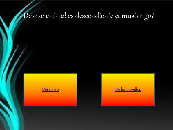 ¿ De que animal es descendiente el mustango? Del perro De los caballos 