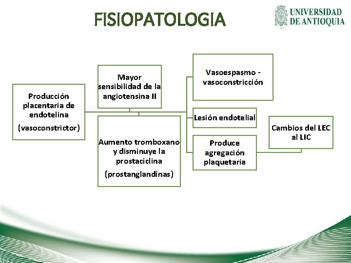 FISIOPATOLOGIA Producción placentaria de endotelina (vasoconstrictor) Mayor sensibilidad de la angiotensina II Vasoespasmo vasoconstricción