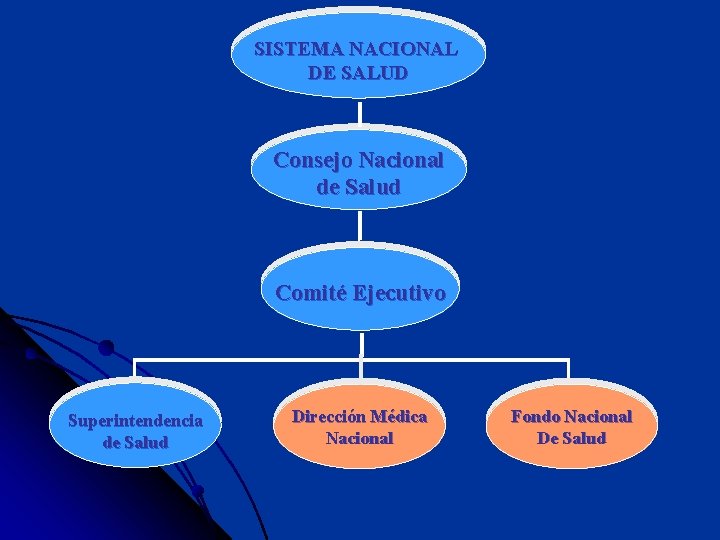 SISTEMA NACIONAL DE SALUD Consejo Nacional de Salud Comité Ejecutivo Superintendencia de Salud Dirección