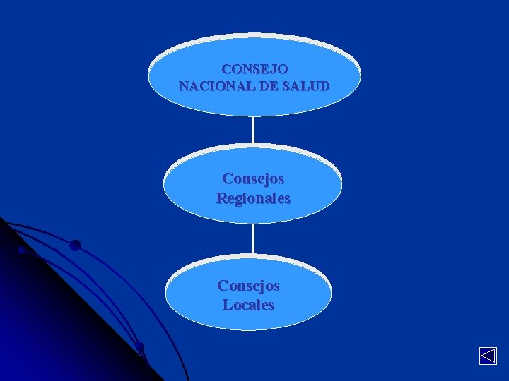 CONSEJO NACIONAL DE SALUD Consejos Regionales Consejos Locales CONSEJO NACIONAL DE SALUD Consejos Regionales Consejos Locales