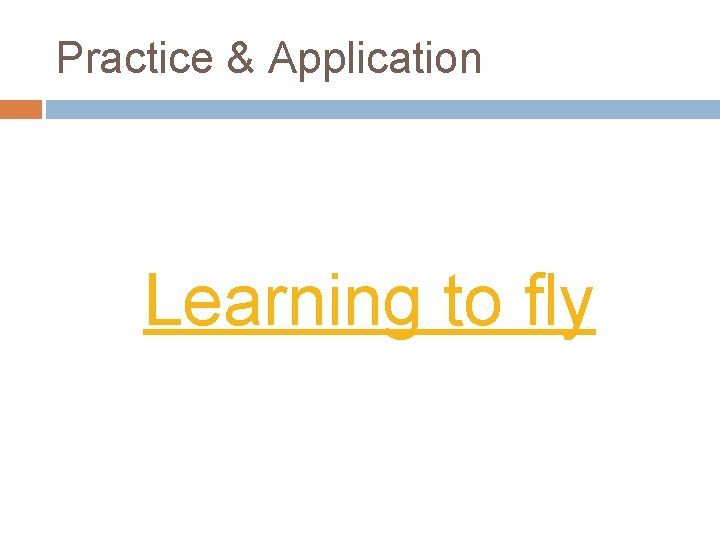 Practice & Application Learning to fly Practice & Application Learning to fly