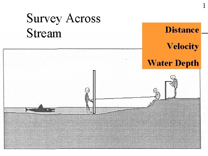 1 Survey Across Stream Distance Velocity Water Depth 