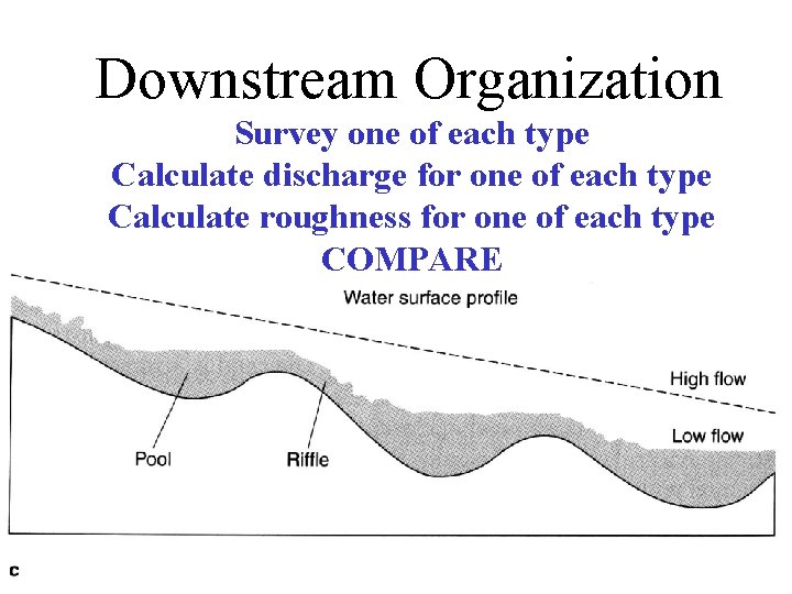 Downstream Organization Survey one of each type Calculate discharge for one of each type