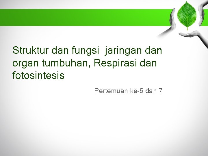 Struktur dan fungsi jaringan dan organ tumbuhan, Respirasi dan fotosintesis Pertemuan ke-6 dan 7