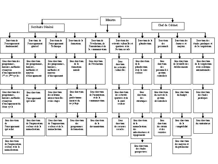 Ministre Chef de Cabinet Secrétaire Général Direction de l’enseignement fondamental Direction de l’enseignement général