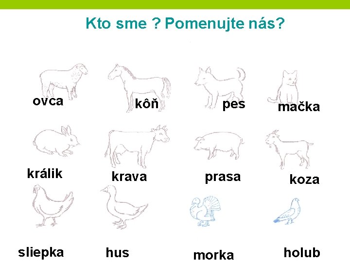 Kto sme ? Pomenujte nás? ovca králik sliepka kôň krava hus pes prasa morka