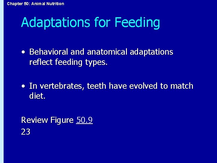 Chapter 50: Animal Nutrition Adaptations for Feeding • Behavioral and anatomical adaptations reflect feeding