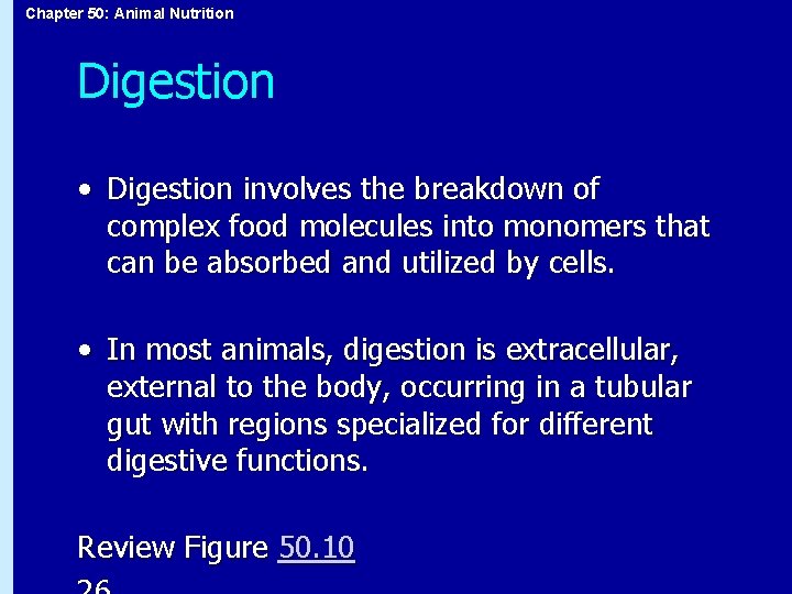 Chapter 50: Animal Nutrition Digestion • Digestion involves the breakdown of complex food molecules