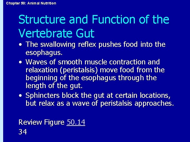 Chapter 50: Animal Nutrition Structure and Function of the Vertebrate Gut • The swallowing