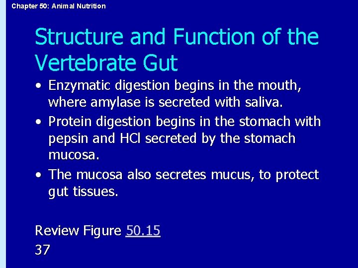 Chapter 50: Animal Nutrition Structure and Function of the Vertebrate Gut • Enzymatic digestion