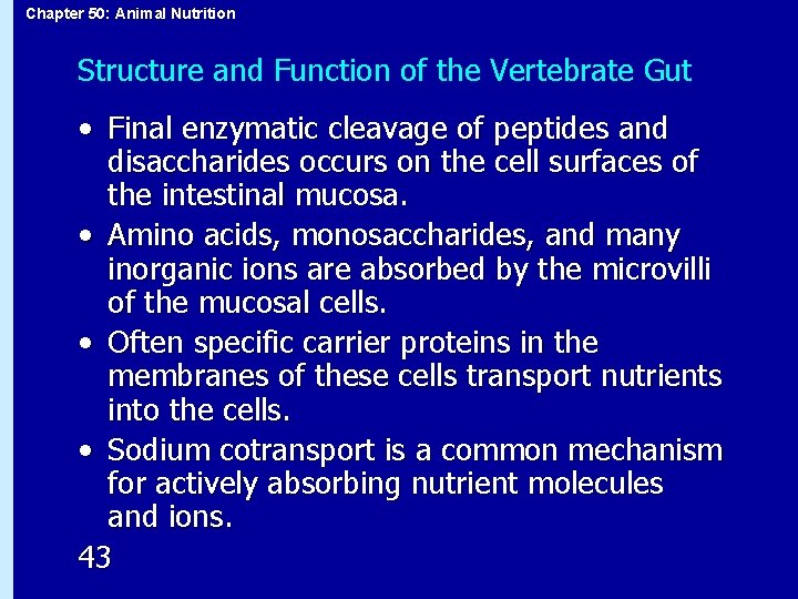 Chapter 50: Animal Nutrition Structure and Function of the Vertebrate Gut • Final enzymatic