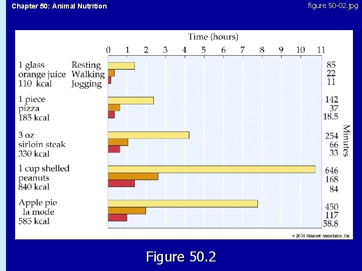 figure 50 -02. jpg Chapter 50: Animal Nutrition 50. 2 Figure 50. 2 