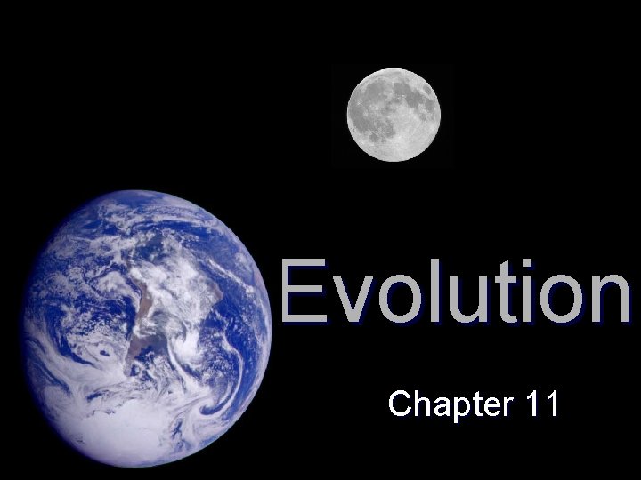 Evolution Chapter 11 