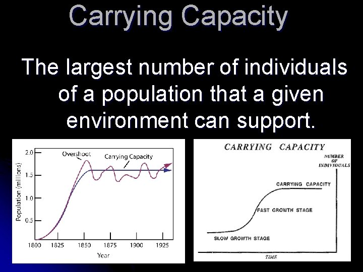 Carrying Capacity The largest number of individuals of a population that a given environment