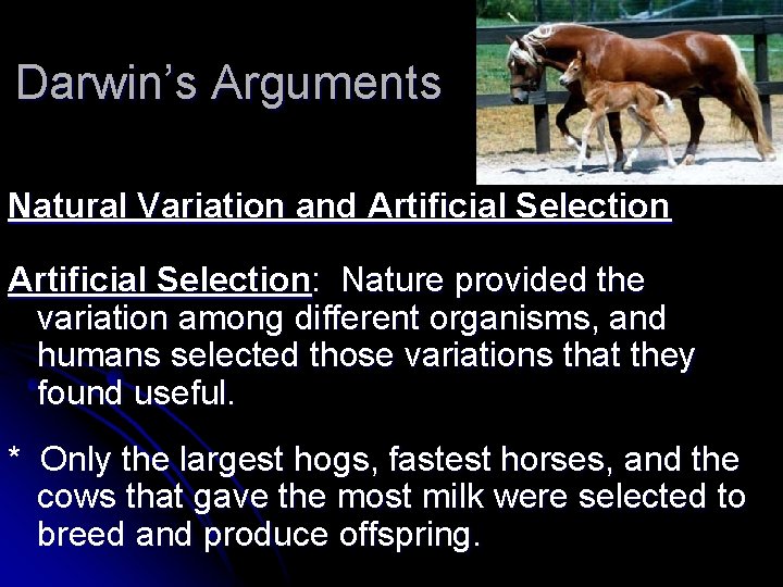 Darwin’s Arguments Natural Variation and Artificial Selection: Nature provided the variation among different organisms,