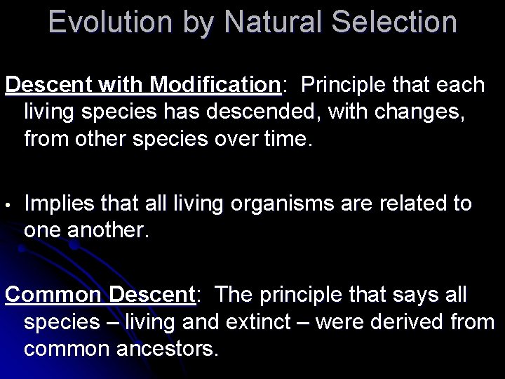 Evolution by Natural Selection Descent with Modification: Principle that each living species has descended,