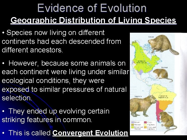 Evidence of Evolution Geographic Distribution of Living Species • Species now living on different