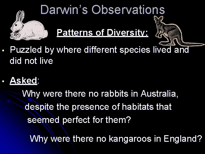 Darwin’s Observations Patterns of Diversity: • Puzzled by where different species lived and did