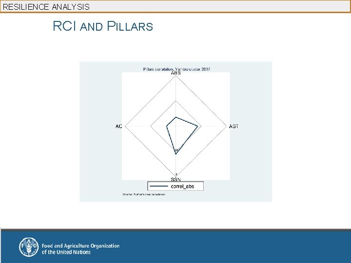 RESILIENCE ANALYSIS RCI AND PILLARS 