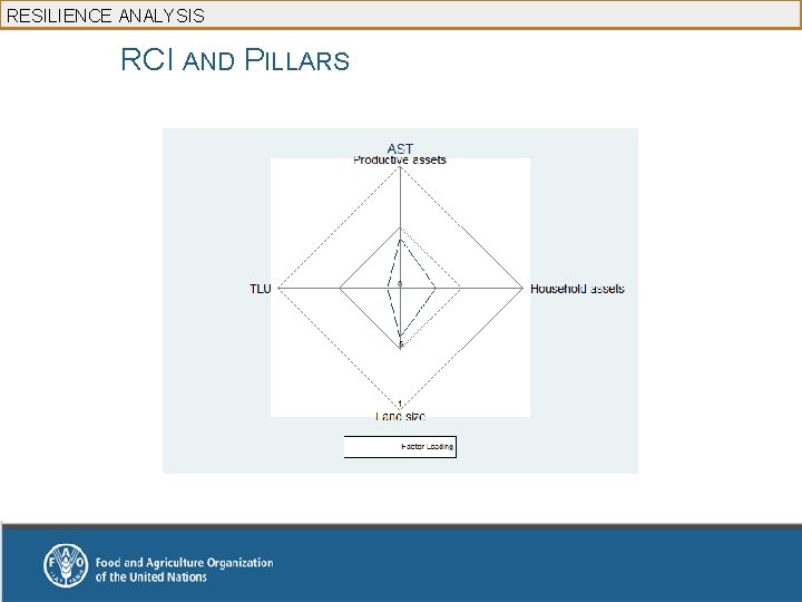 RESILIENCE ANALYSIS RCI AND PILLARS 