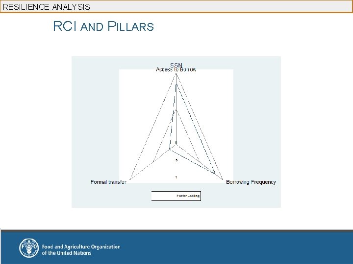 RESILIENCE ANALYSIS RCI AND PILLARS 