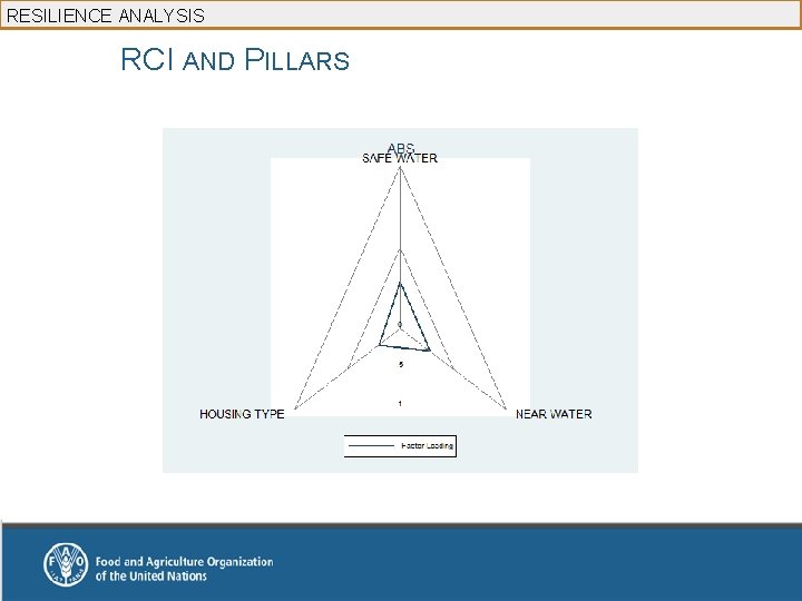 RESILIENCE ANALYSIS RCI AND PILLARS 