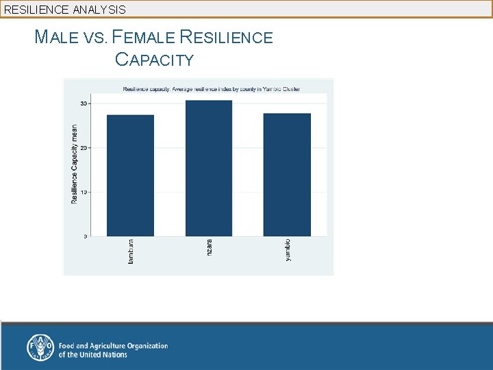 RESILIENCE ANALYSIS MALE VS. FEMALE RESILIENCE CAPACITY 