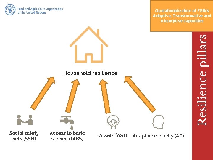 Resilience pillars Operationalization of FSINs Adaptive, Transformative and Absorptive capacities Household resilience Social safety