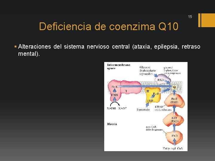 15 Deficiencia de coenzima Q 10 § Alteraciones del sistema nervioso central (ataxia, epilepsia,