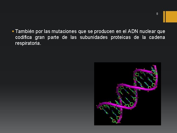 8 § También por las mutaciones que se producen en el ADN nuclear que