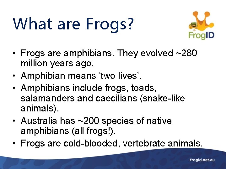 What are Frogs? • Frogs are amphibians. They evolved ~280 million years ago. •