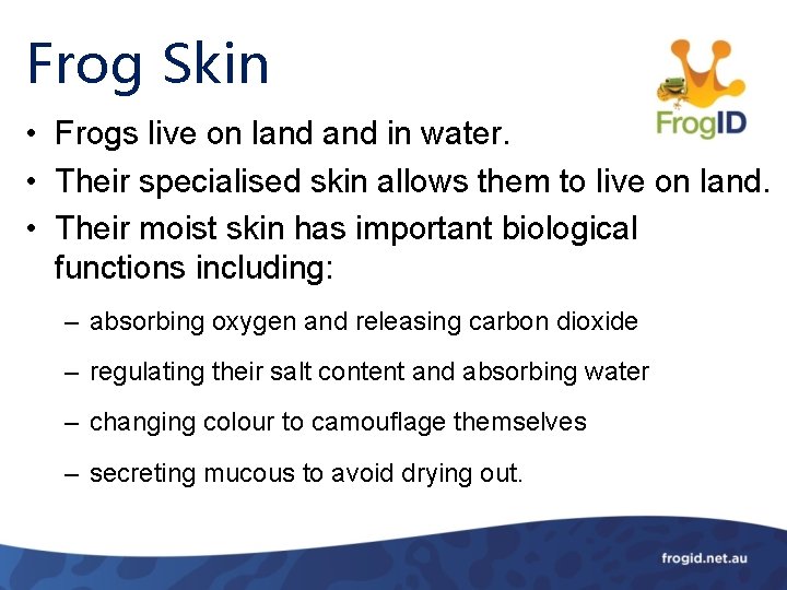 Frog Skin • Frogs live on land in water. • Their specialised skin allows