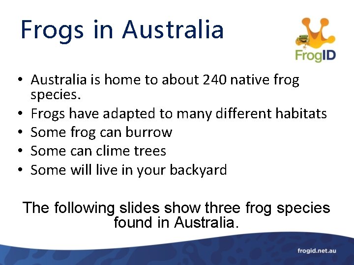 Frogs in Australia • Australia is home to about 240 native frog species. •