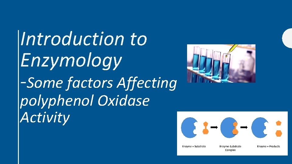 Introduction to Enzymology -Some factors Affecting polyphenol Oxidase Activity 