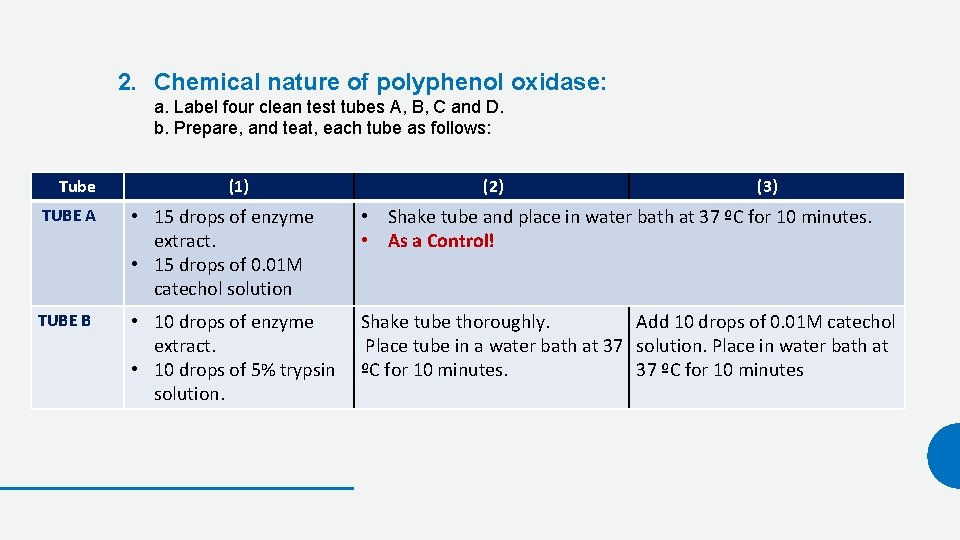 2. Chemical nature of polyphenol oxidase: a. Label four clean test tubes A, B,