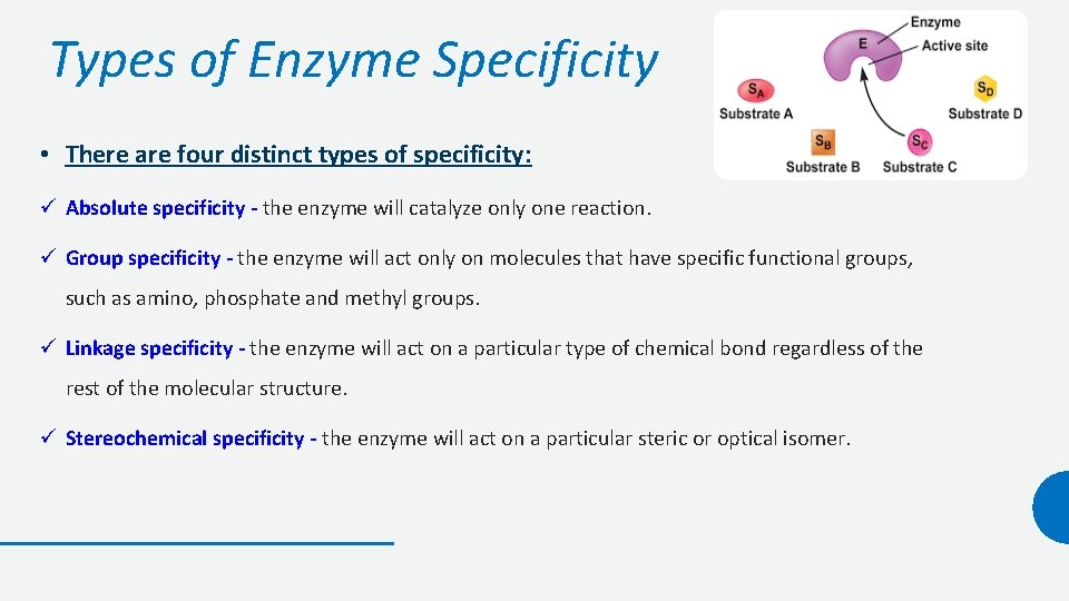 Types of Enzyme Specificity • There are four distinct types of specificity: ü Absolute