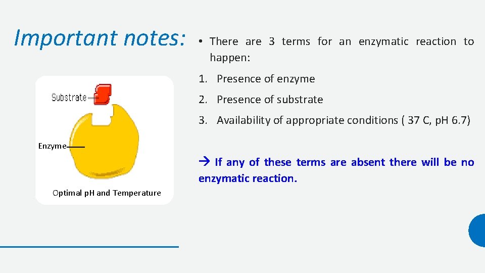 Important notes: • There are 3 terms for an enzymatic reaction to happen: 1.